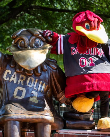USC Gamecocks mascot statue on the University of South Carolina campus