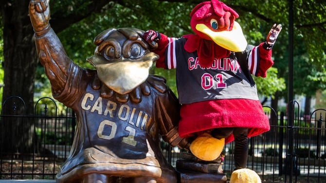 Gamecocks